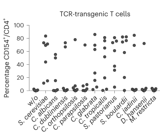 Open access visualization of Scatter Plot, TCR-transgenic T Cells, Fungal Species, T Cell Line
