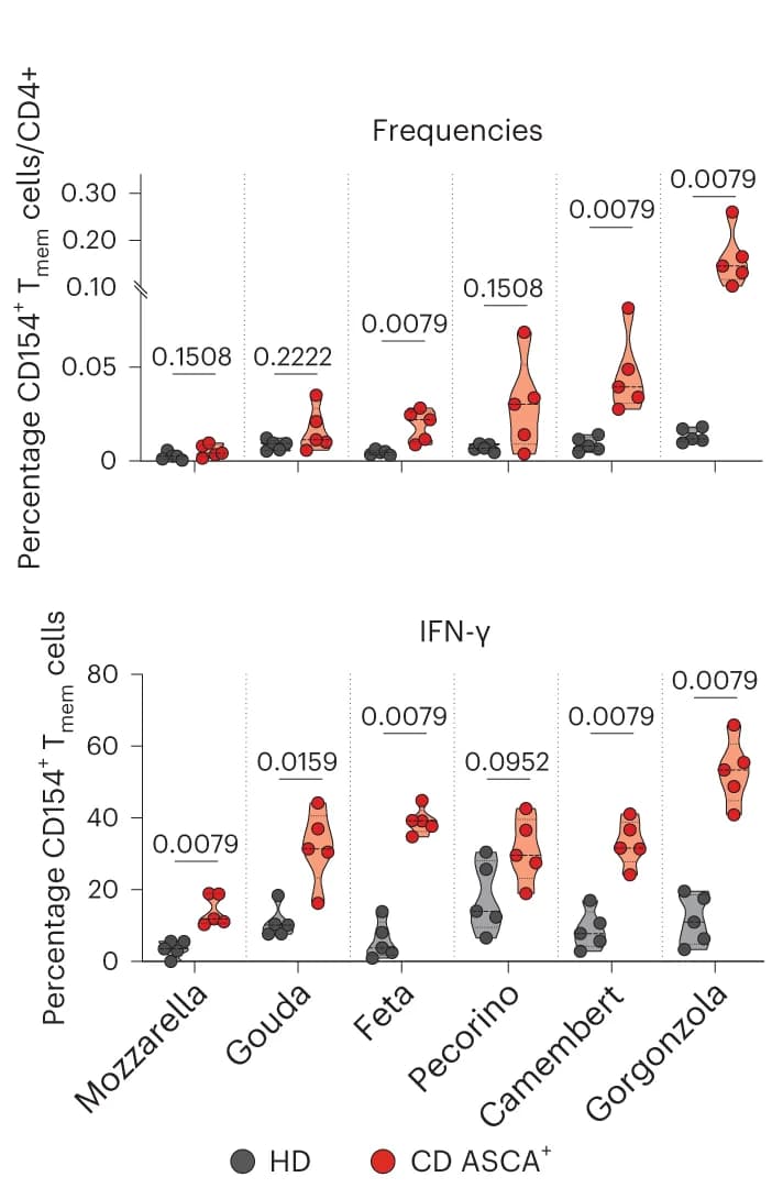 Open access visualization of Violin Plot, Scatter Plot, CD154+ T cells, IFN-γ, Cheese
