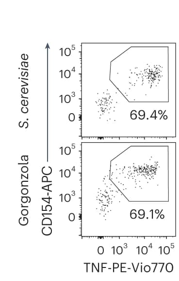Open access visualization of Scatter Plot, TCR-Transgenic T Cells, Gorgonzola, Fungal Species, Cheese