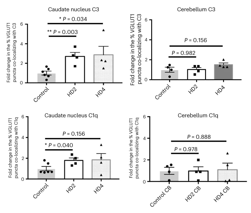 Open access visualization of Bar Plot, Error Bars, VGLUT1, Glutamatergic Synapses, Complement C3