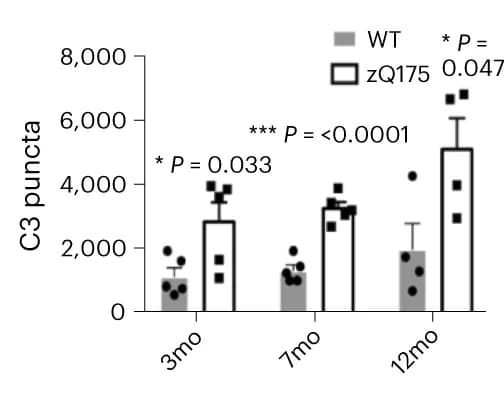 Open access visualization of Bar Plot, Error Bars, C3 Puncta, Dorsolateral Striatum, zQ175 Mice