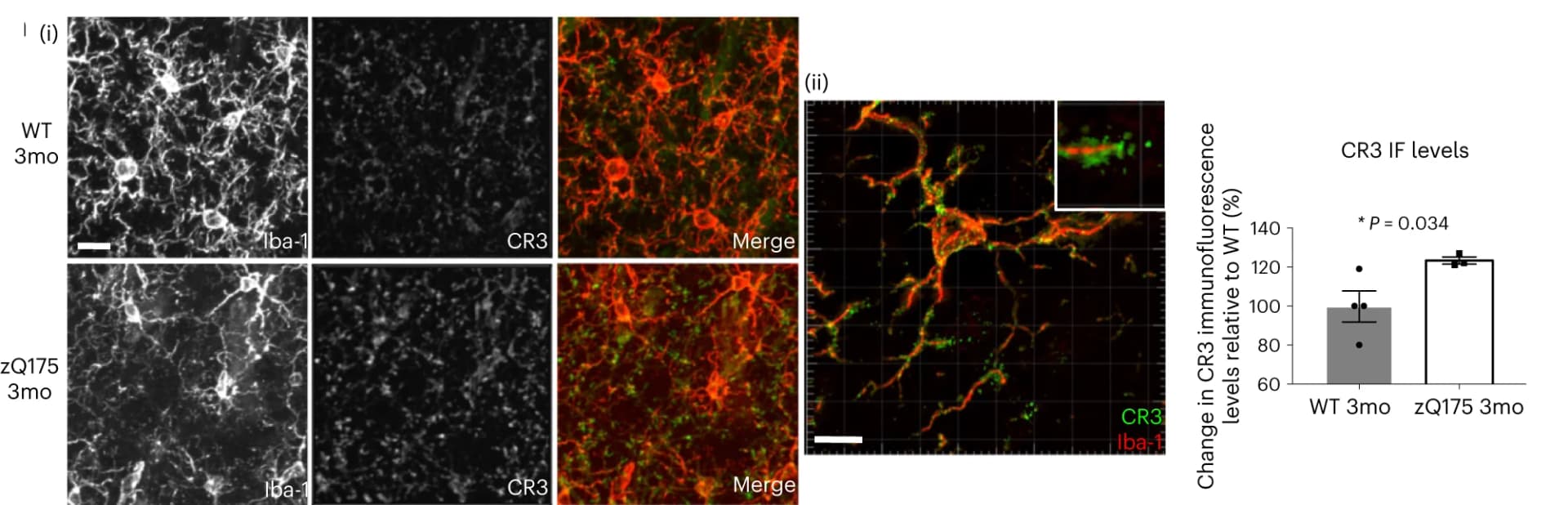 Open access visualization of Microscopy, Bar Plot, Error Bars, Confocal Images, CR3 Staining