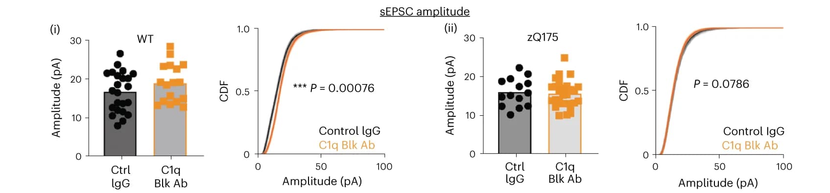 Open access visualization of Bar Plot, Scatter Plot, Line Plot, Amplitude, Whole-Cell Voltage-Clamp Recordings