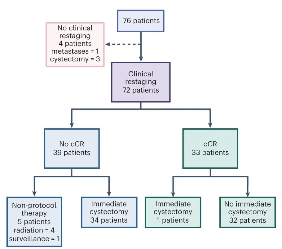 Open access visualization of Workflow, Flowchart, CONSORT Diagram, Patients, cCR Rate