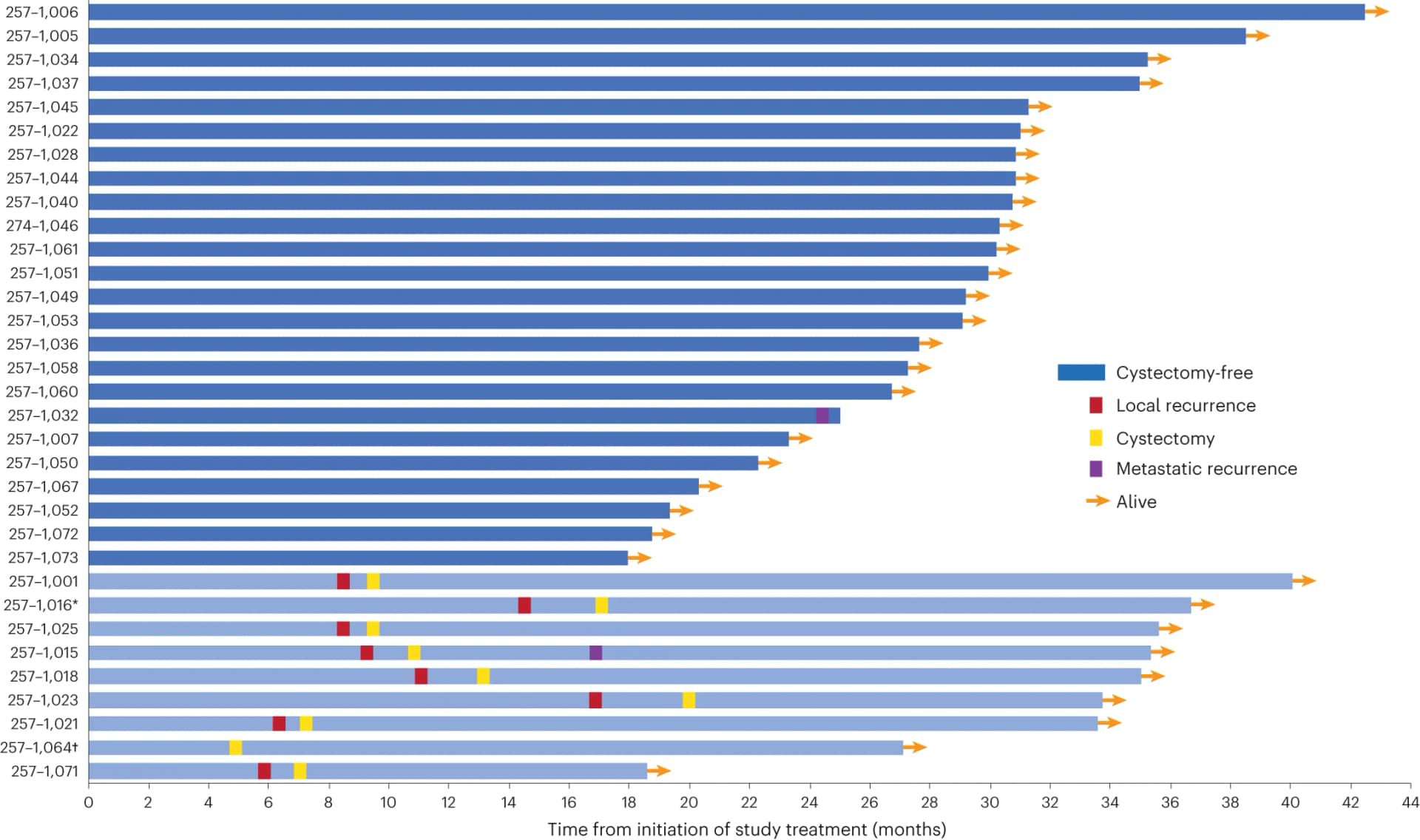 Open access visualization of Bar Plot, Cystectomy, Local Recurrence, Biopsy, Radiographic Changes