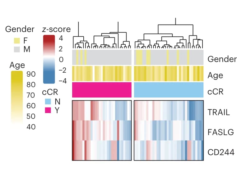 Open access visualization of Heatmap, Clustered, Heat map, Normalized expression, Z-score