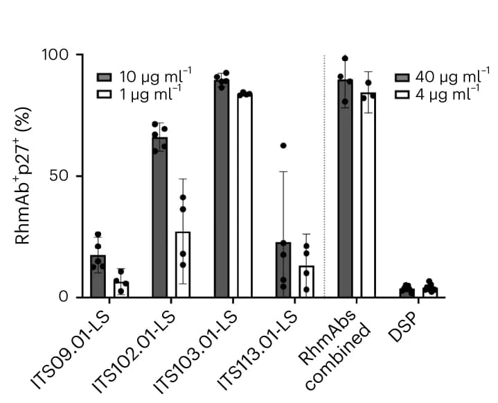 Open access visualization of Bar Plot, Error Bars, Clustered, RhmAbs, SIV mac239