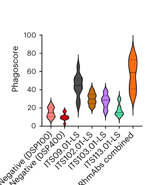 Open access visualization of Violin Plot, In Vitro, ADNP, Granulocytes, PBMCs