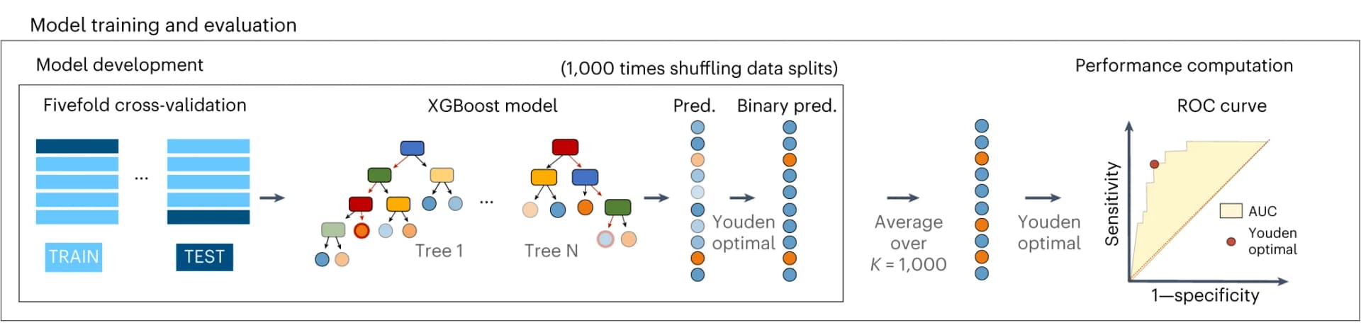 Open access visualization of Workflow, ROC curve, XGBoost Classifier, Phenotypes, Cross-Validation