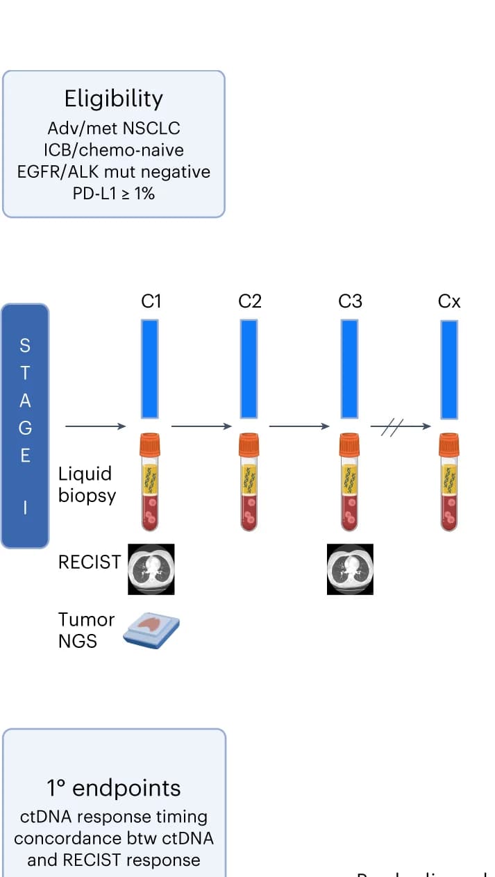 Open access visualization of Workflow, Flowchart, BR.36 trial, NSCLC, EGFR
