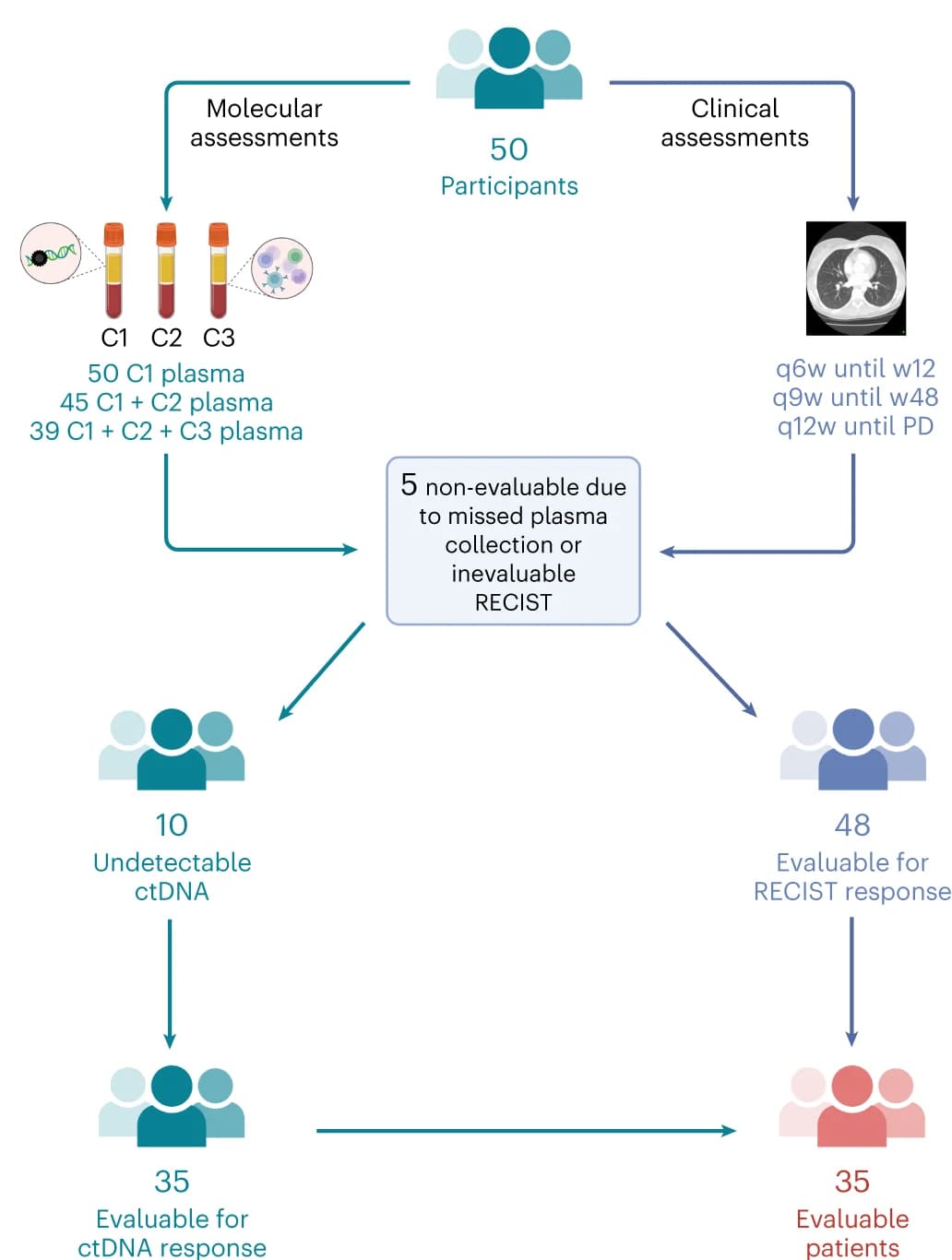 Open access visualization of Workflow, Flowchart, BR.36 trial, Radiographic assessments, Liquid biopsy
