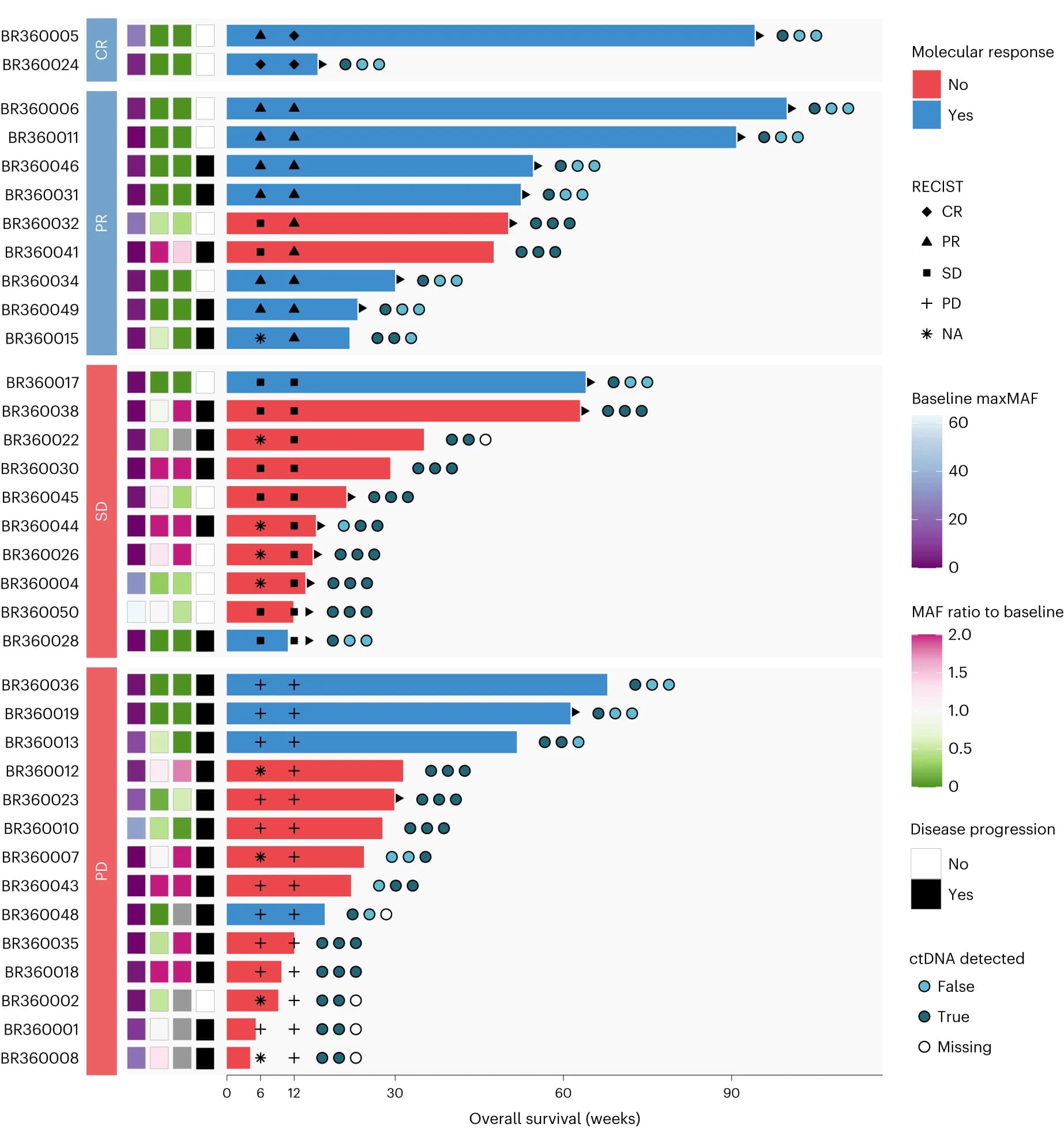 Open access visualization of Bar Plot, Heatmap, Swimmer Plot, Radiographic Response, Molecular Response