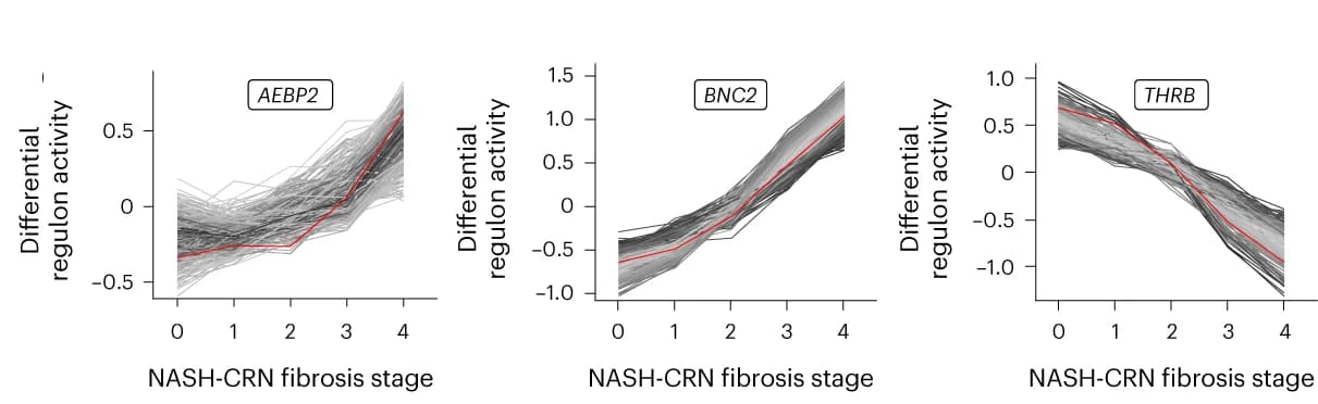 Open access visualization of Line Plot, Activity, Cluster Membership, Regulons, THRB