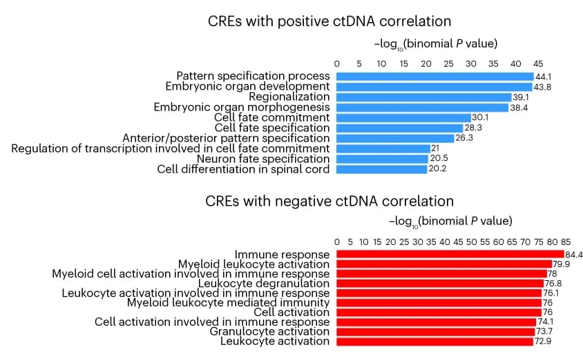 Open access visualization of Bar Plot, GO Term Enrichment, Genes, ctDNA, H3K4me3