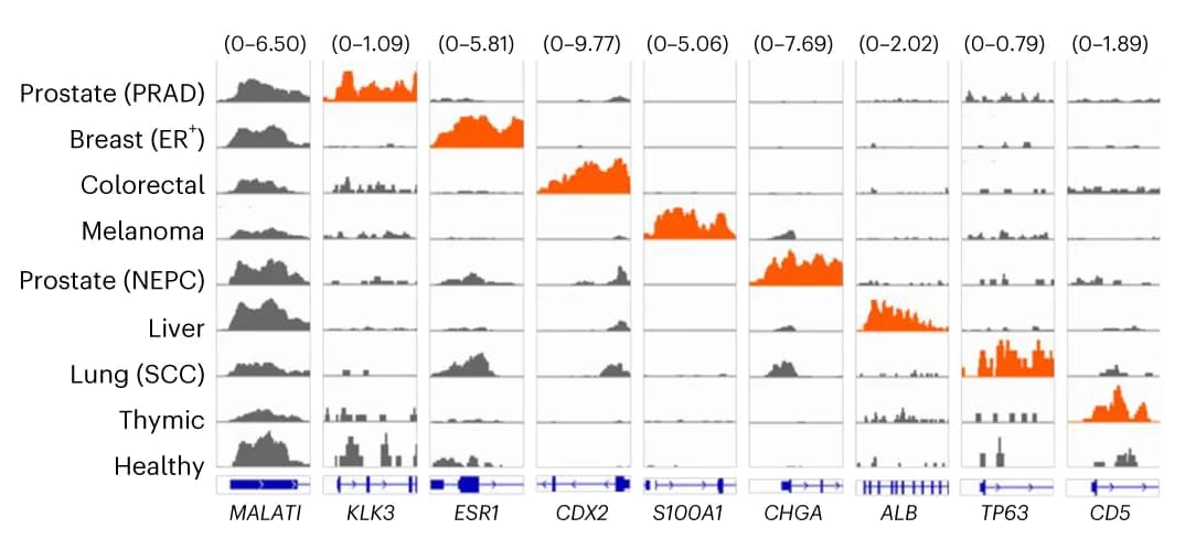 Open access visualization of Line Plot, Density Plot, H3K4me3 cfChIP-seq, Diagnostic Marker Genes, Plasma