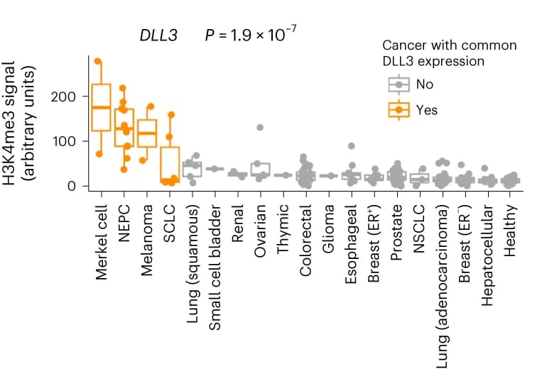 Open access visualization of Box Plot, Scatter Plot, H3K4me3 cfChIP-seq, DLL3 Promoter, Cancer Type