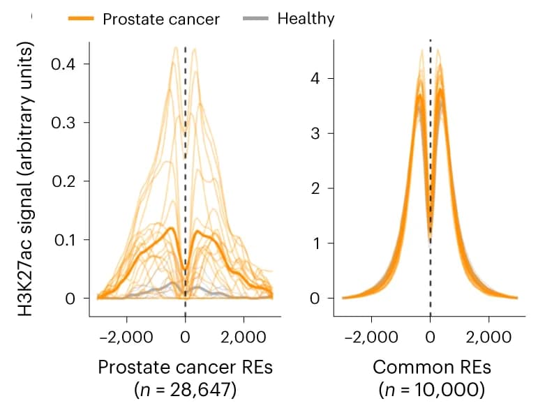 Open access visualization of Line Plot, Density Plot, H3K27ac cfChIP-seq, ATAC-seq, Prostate Tumor Tissue