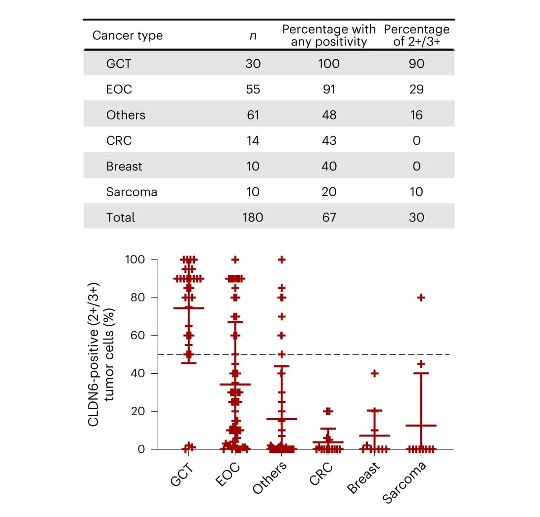 Open access visualization of Scatter Plot, Error Bars, Table Image, CLDN6, Immunohistochemistry