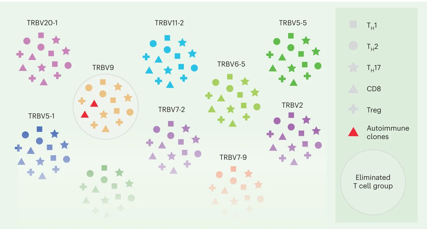 Open access visualization of Illustration, Anti-TRBV9 Therapy, TRBV9+ T Cell Clones, Autoimmune T Cells, T Cell Immunity