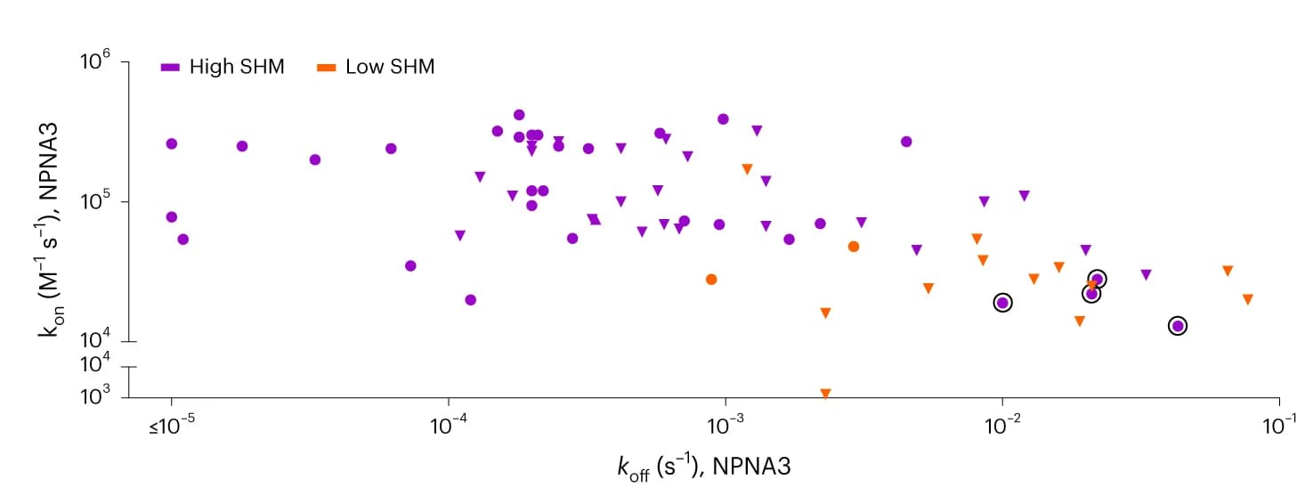 Open access visualization of Scatter Plot, SPR Binding, Peptide, mAb, Mutation