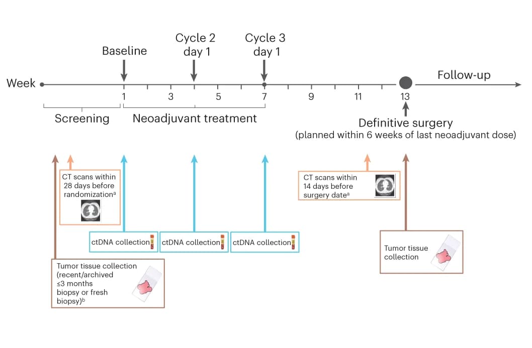 Open access visualization of Workflow, Flowchart, Radiographic Imaging, ctDNA, Tumor Tissue
