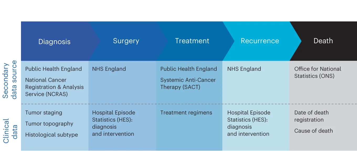 Open access visualization of Workflow, Flowchart, Genomic Data, Clinical Data, Electronic Health Records