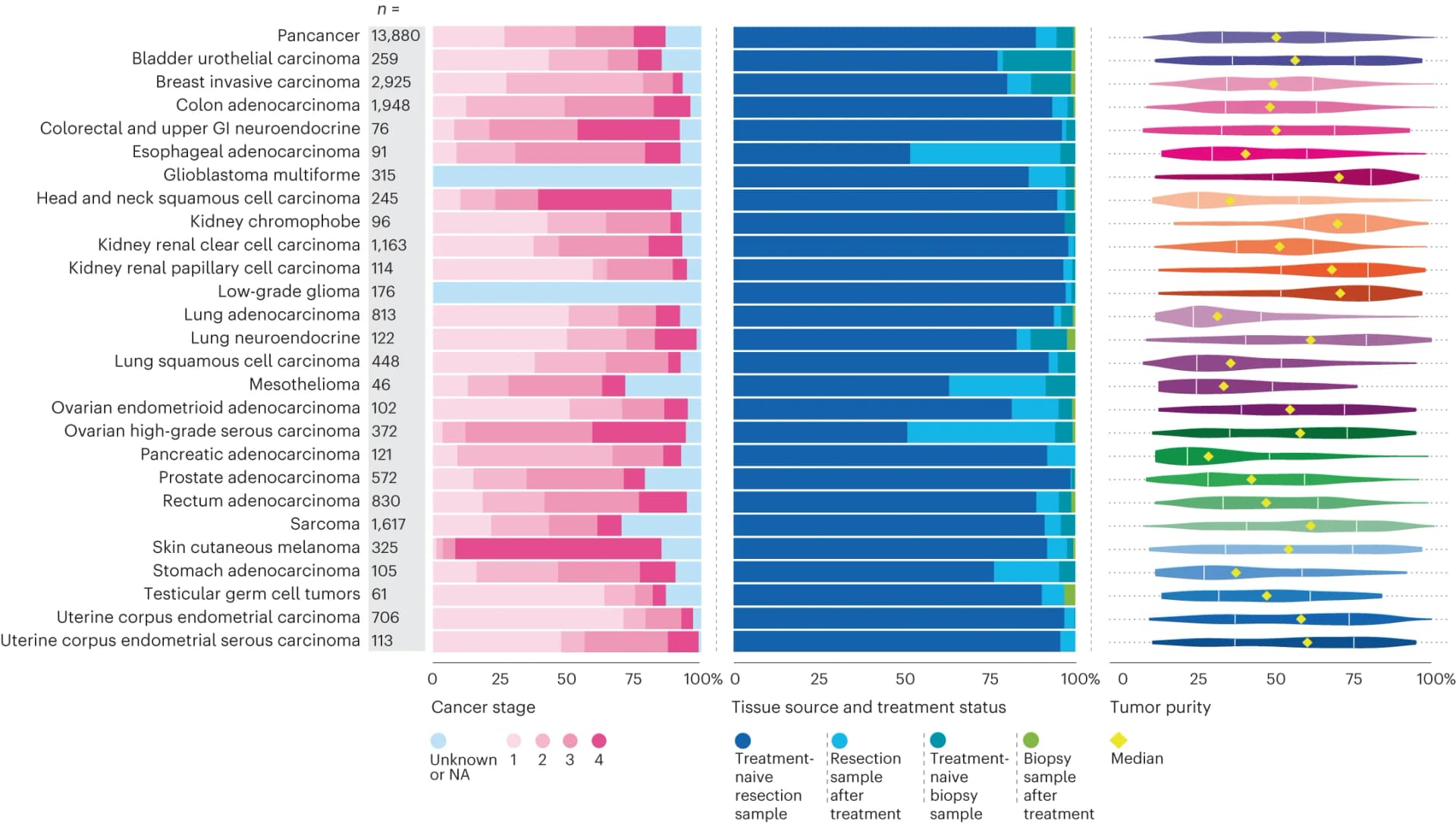 Open access visualization of Stacked Bar Plot, Violin Plot, Glioblastoma Multiforme, Low-Grade Glioma, Tumor Stage