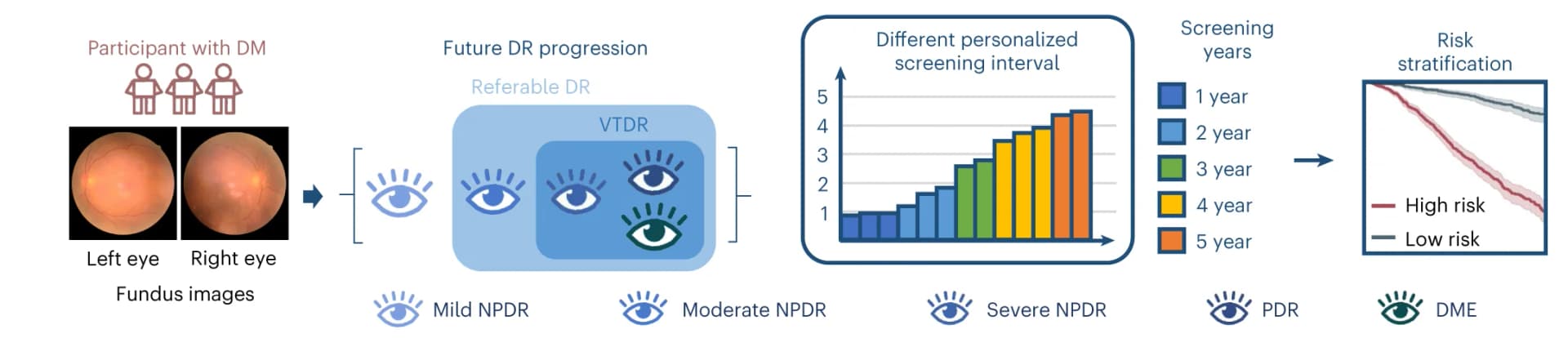 Open access visualization of Workflow, Bar Plot, Survival Curve, Photo, DeepDR Plus