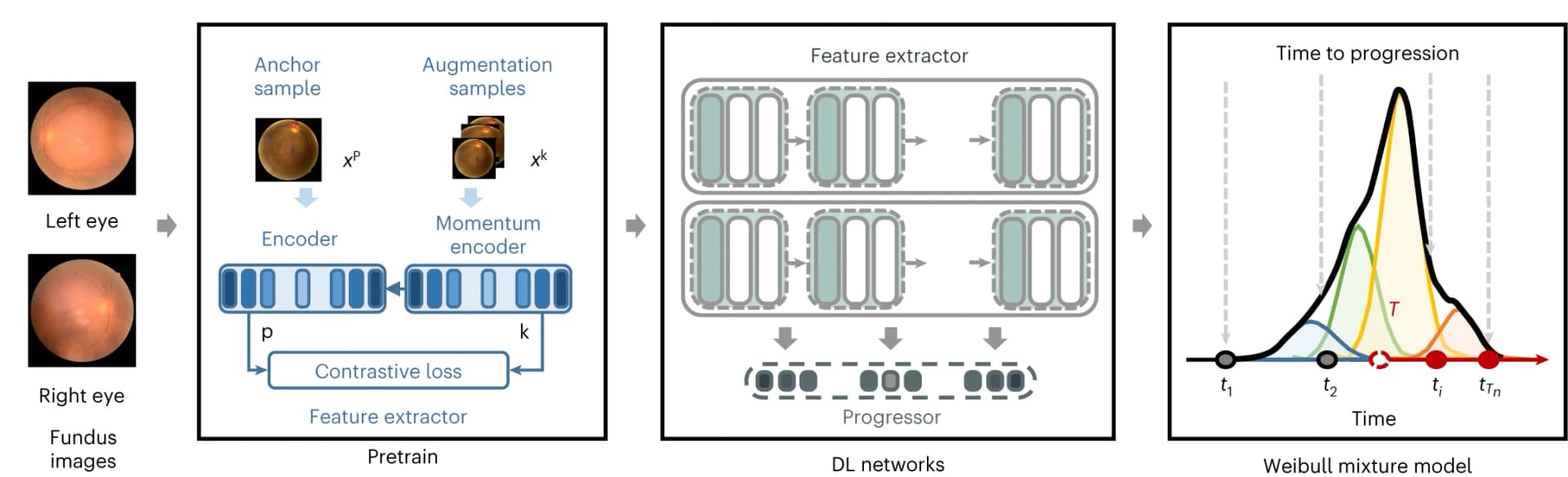 Open access visualization of Workflow, Illustration, Microscopy, Line Plot, Density Plot