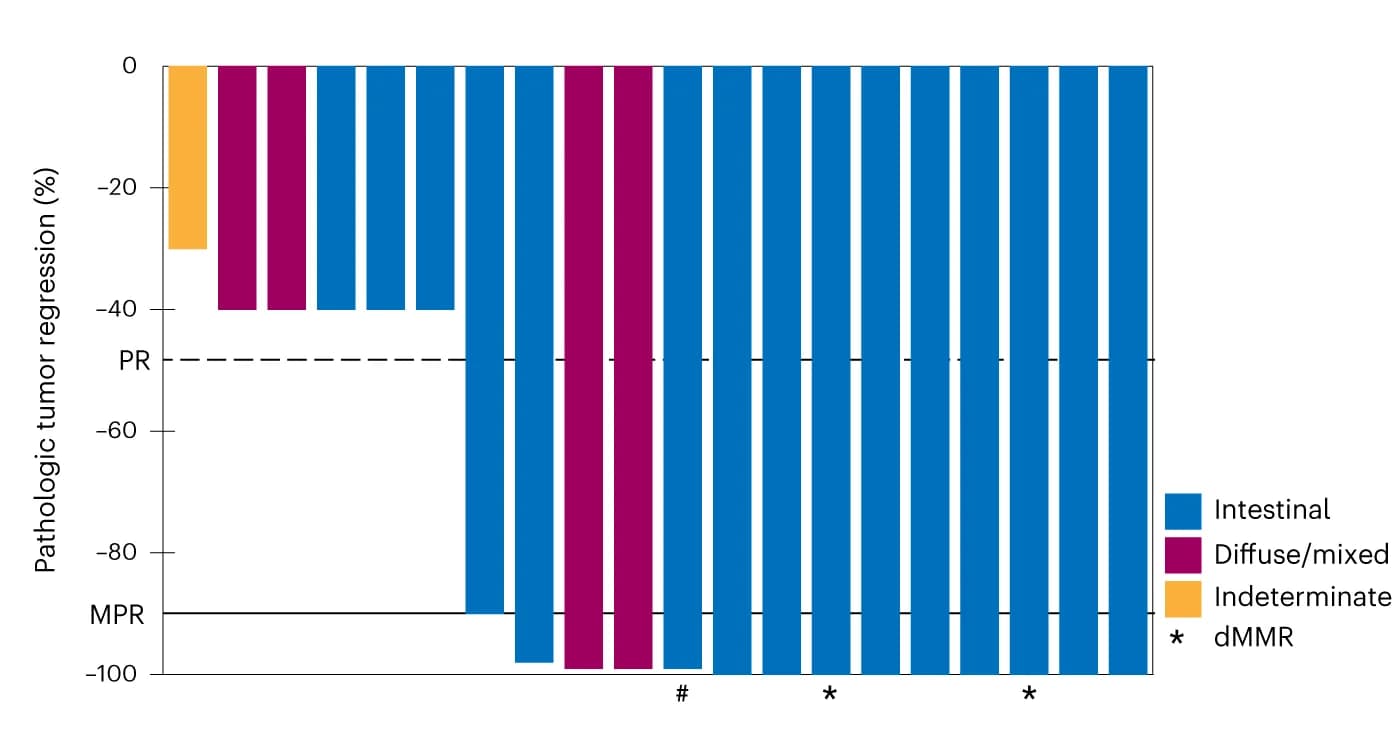 Open access visualization of Bar Plot, Pathologic Regression, Tumor, MPR, Tumor Regression