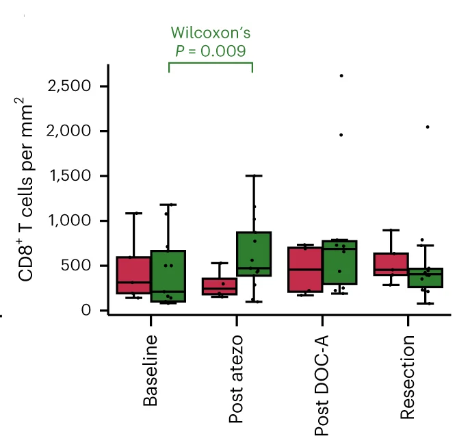 Open access visualization of Box Plot, Scatter Plot, CD8+ T Cells, Responders, Nonresponders