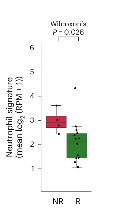 Open access visualization of Box Plot, Scatter Plot, Gene Expression, Nonresponders, Responders