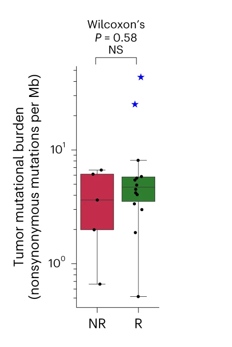 Open access visualization of Box Plot, Scatter Plot, TMB, Nonsynonymous Mutations, Nonresponders