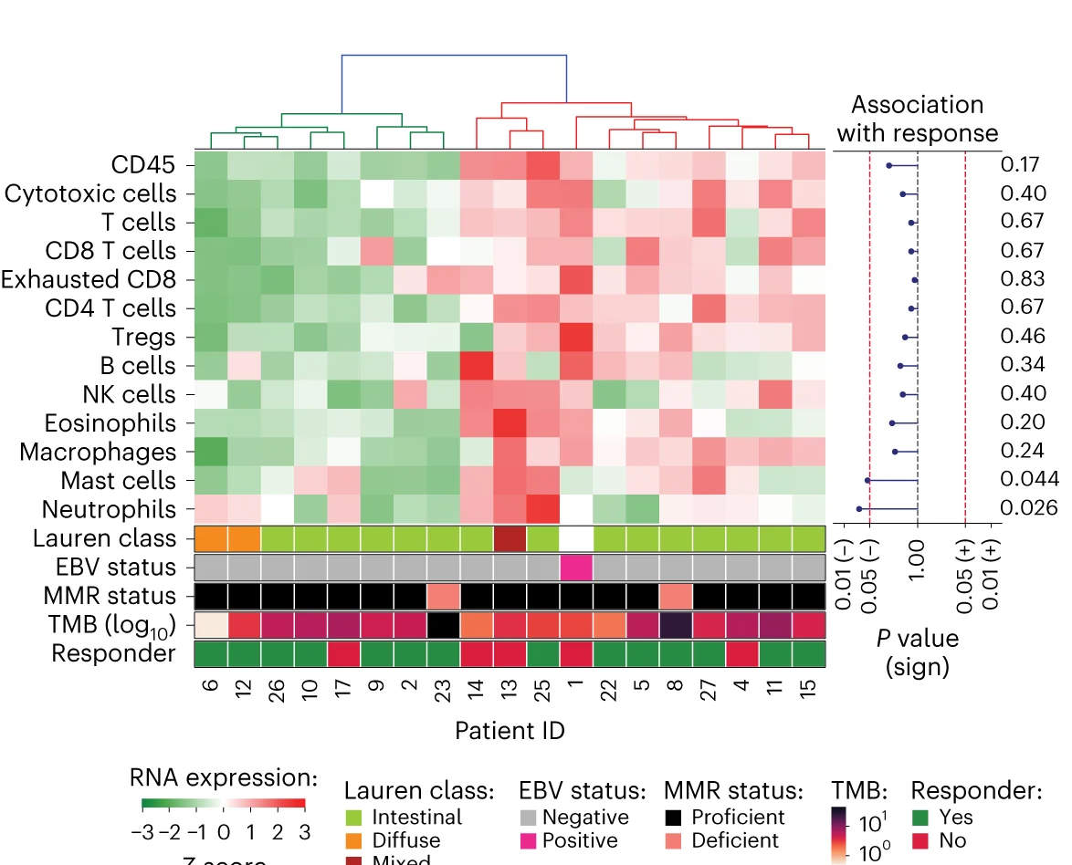 Open access visualization of Heatmap, Clustered, Scatter Plot, Bar Plot, Line Plot