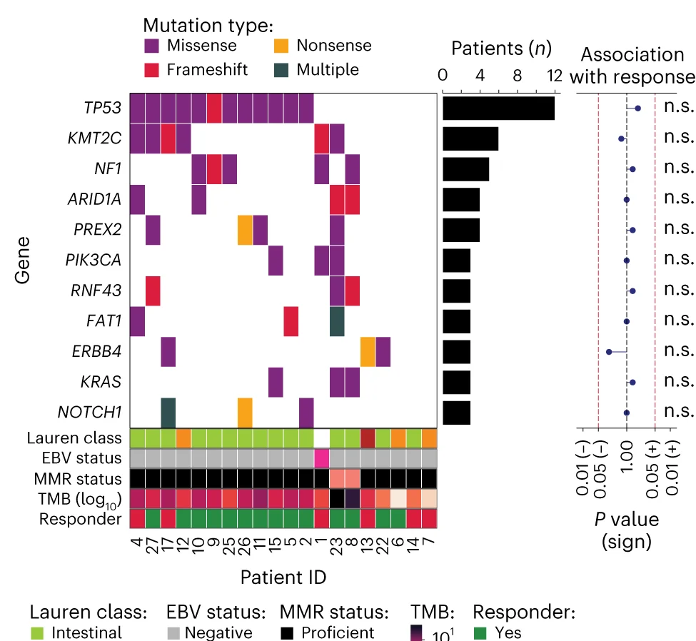 Open access visualization of Bar Plot, Heatmap, Scatter Plot, Mutational Status, Cancer-Driver Genes