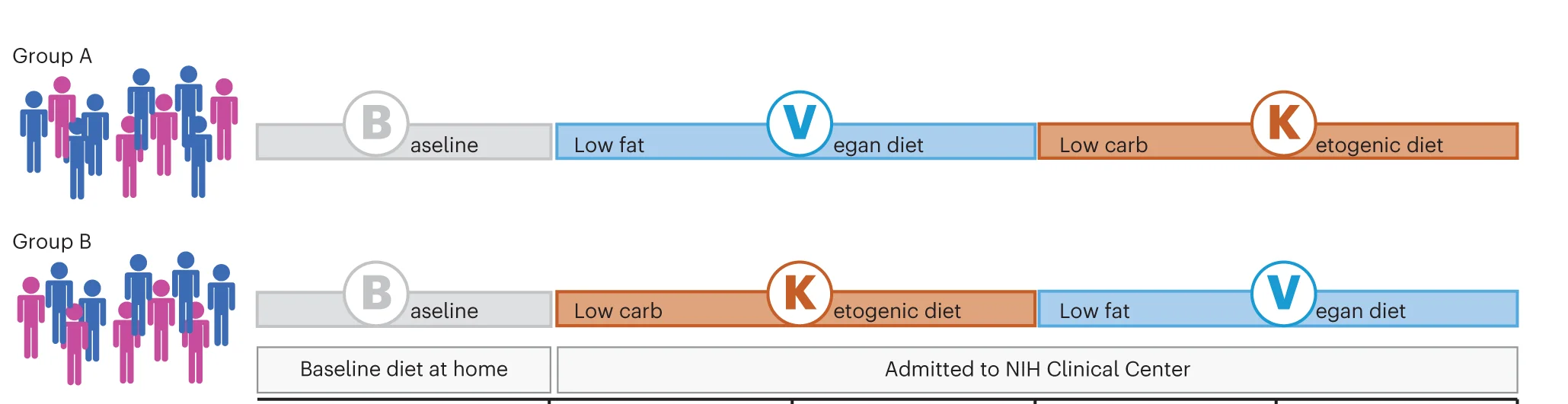 Open access visualization of Workflow, Illustration, Experimental Setup, Participants, Vegan Diet