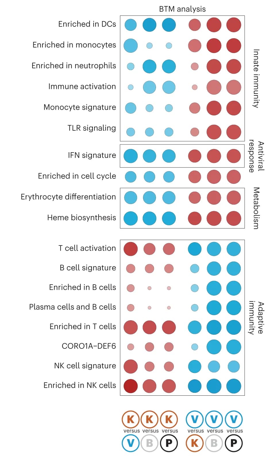 Open access visualization of Bubble Plot, BTM Analysis, Enriched Pathways, Network Enrichment Score, FGSEA Pathway Package