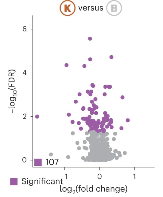 Open access visualization of Scatter Plot, Volcano Plot, Protein Abundance, Fold Change, False Discovery Rate
