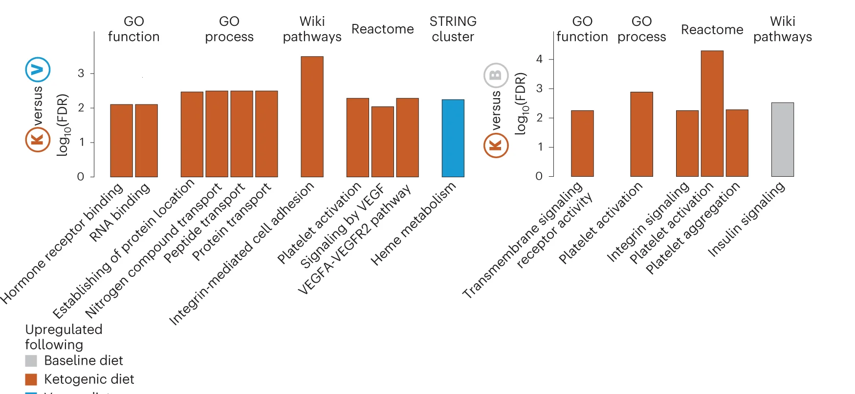 Open access visualization of Bar Plot, Clustered, Bar Graph, Functional Enrichment Analysis, STRING