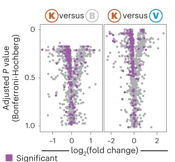 Open access visualization of Scatter Plot, Volcano Plot, Fold Change, EC Numbers, Ketogenic Diet