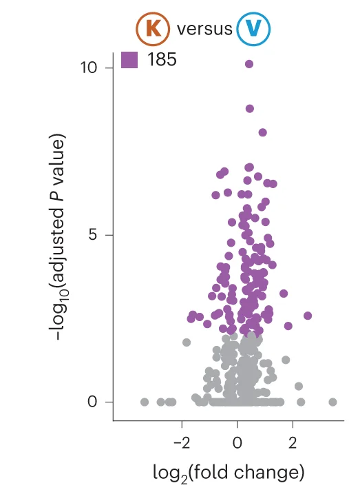 Open access visualization of Scatter Plot, Volcano Plot, Metabolites, Ketogenic Diet, Vegan Diet