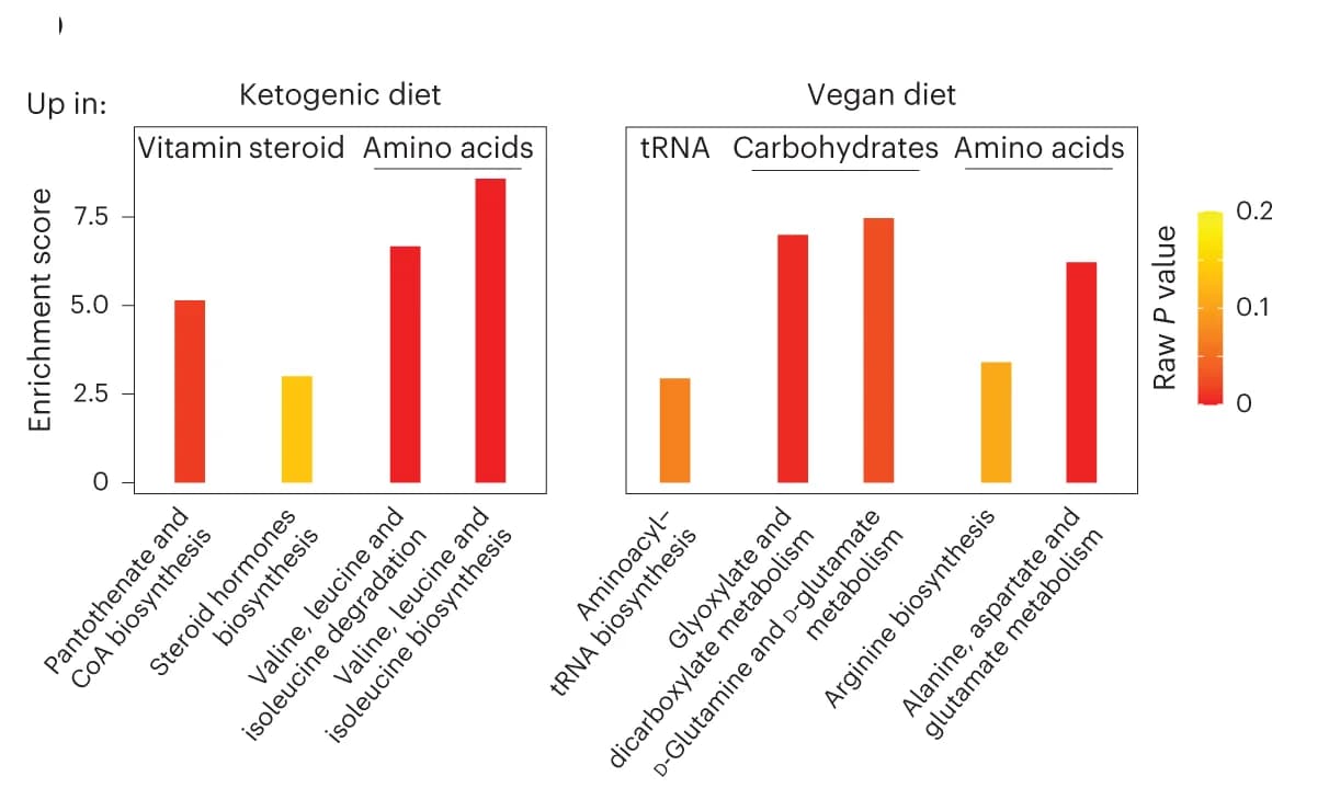 Open access visualization of Bar Plot, Bar Graph, MetaboAnalyst, Pathway Enrichment, Ketogenic Diet