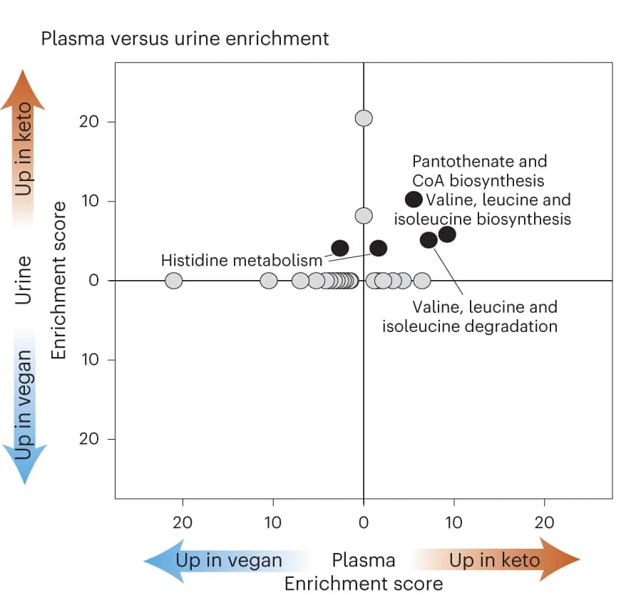 Open access visualization of Scatter Plot, Pathway Enrichment, Plasma, Urine