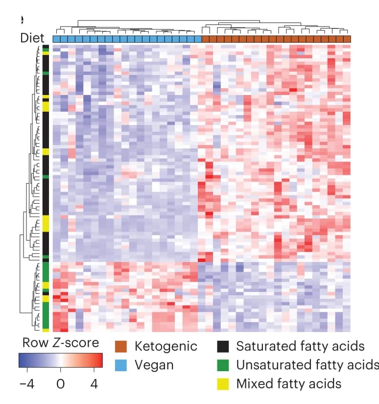 Open access visualization of Heatmap, Clustered, Heat Map, Lipids, Participant
