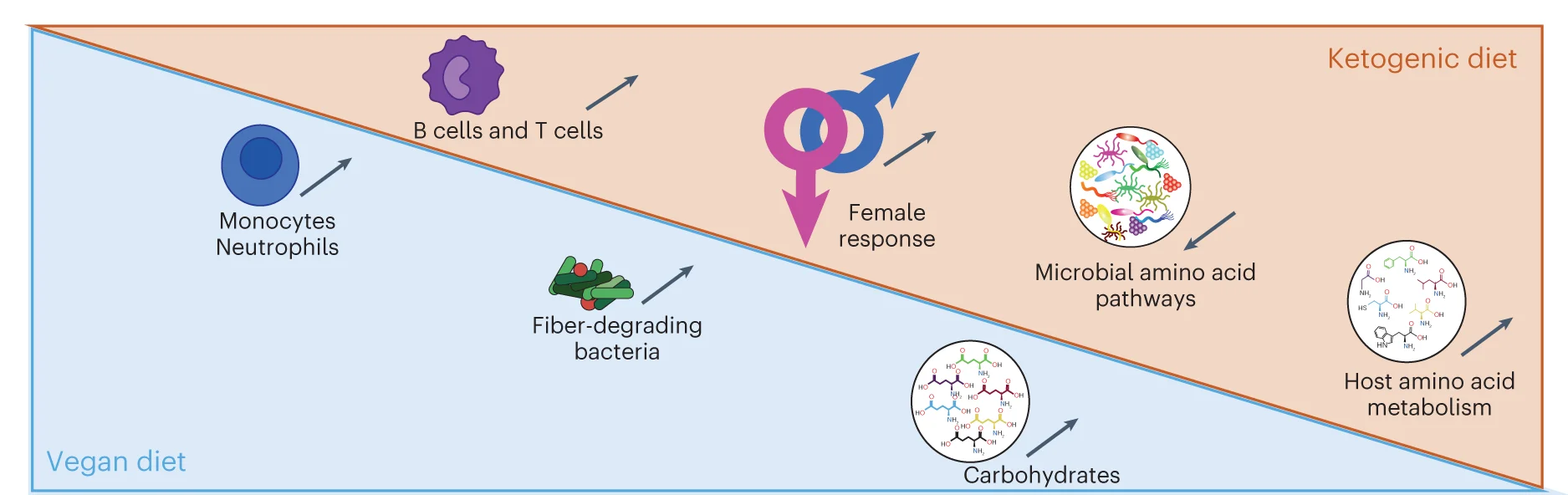 Open access visualization of Workflow, Illustration, Graphical Summary, Main Findings
