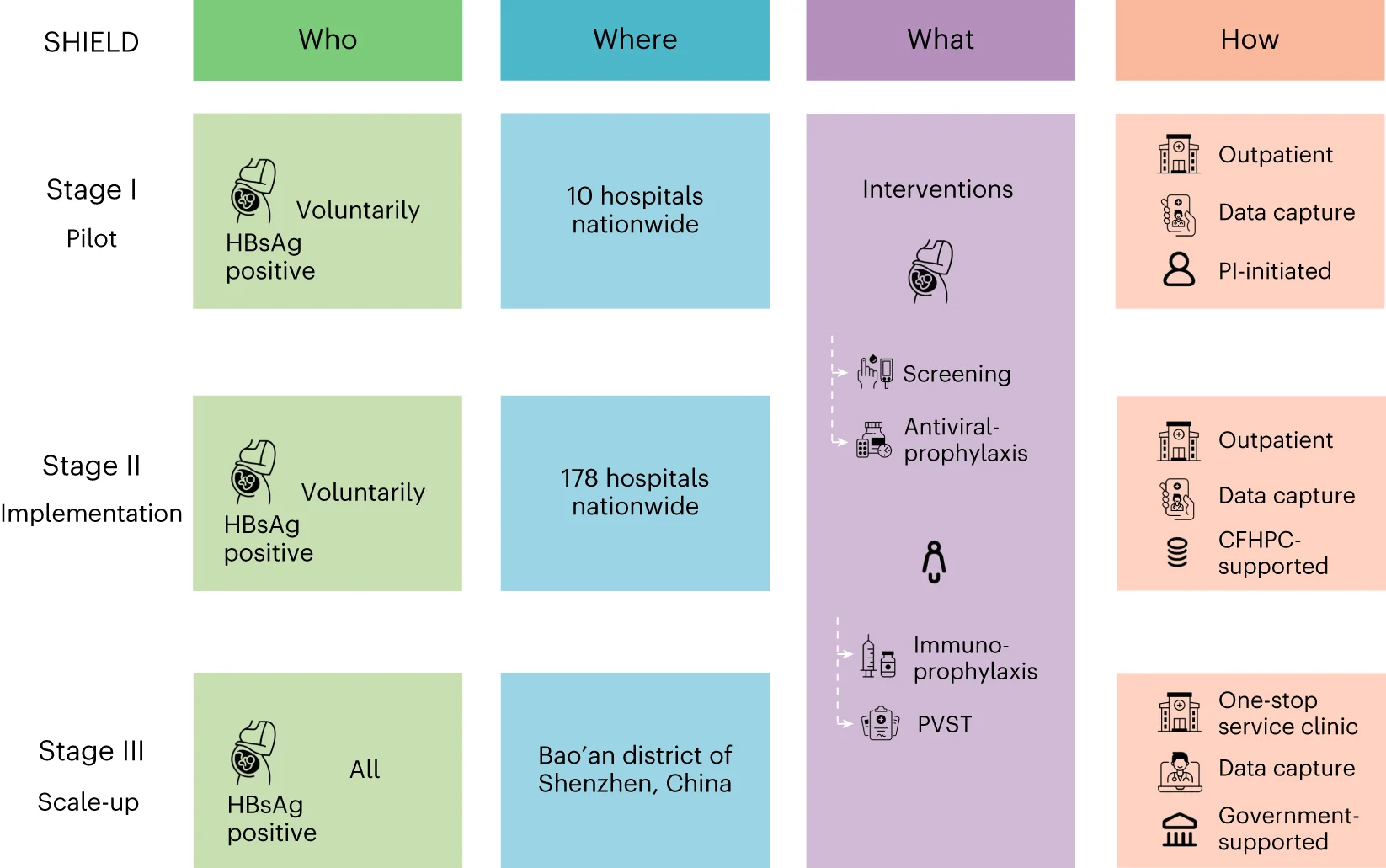 Open access visualization of Workflow, Flowchart, Illustration, SHIELD Program, HBV MTCT