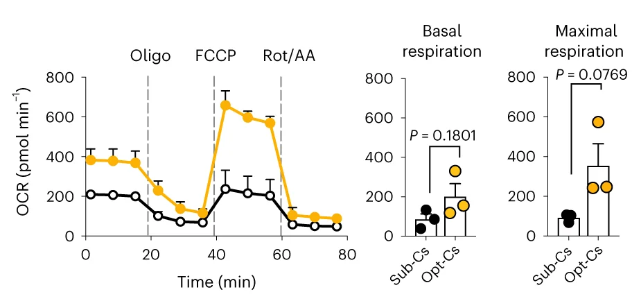 Open access visualization of Line Plot, Error Bars, Box Plot, Oxygen Consumption Rate, Oxidative Phosphorylation