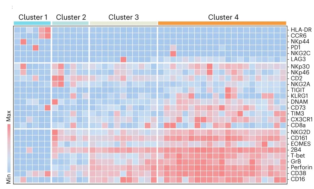 Open access visualization of Heatmap, Clustered, Heat Map, Marker Expression, Cell Subclusters