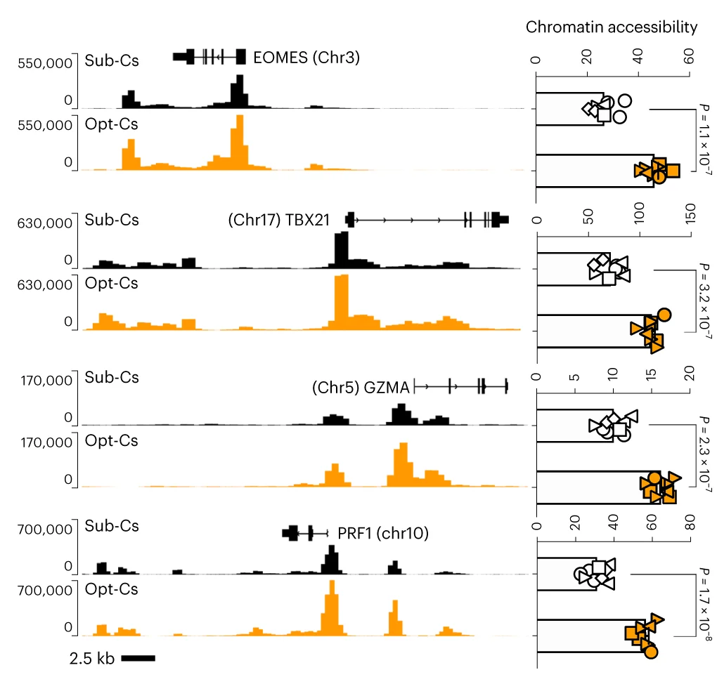 Open access visualization of Line Plot, Scatter Plot, ATAC-seq Tracks, Genes, NK Cells