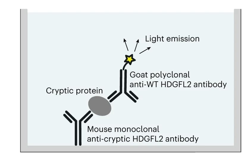 Open access visualization of Illustration, Workflow, Sandwich ELISA, MSD System